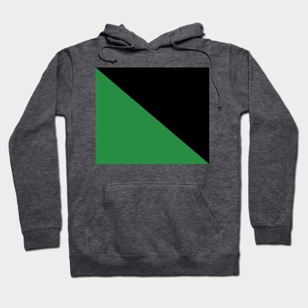 Anarcho-primitivism Flag Hoodie by SolarCross